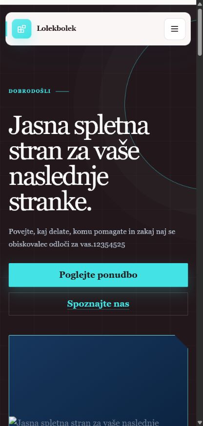 Dejanski pogled sistema Webrox Strani: Spletna stran za s.p.